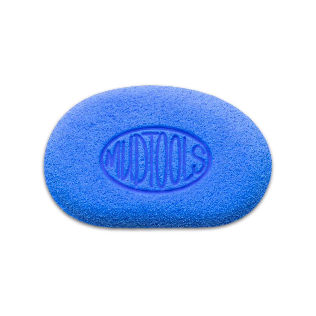 Mudtools svamp, blå